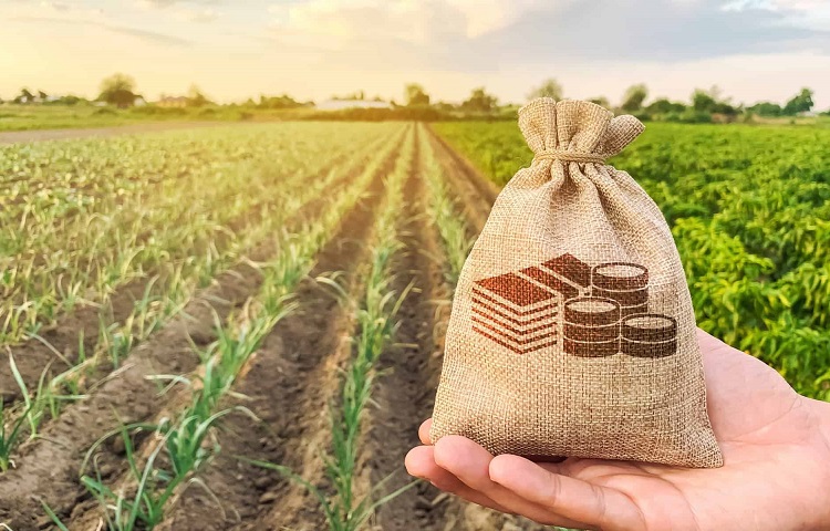 private money for agriculture loans