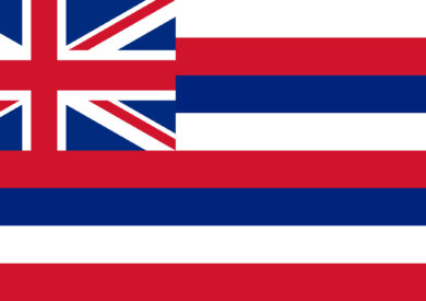 state flag of Hawaii