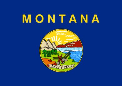 state flag of Montana