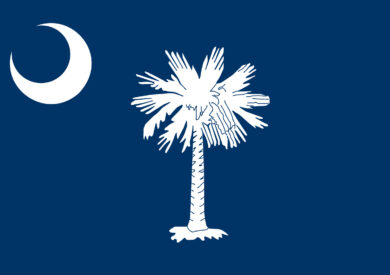 state flag of South Carolina